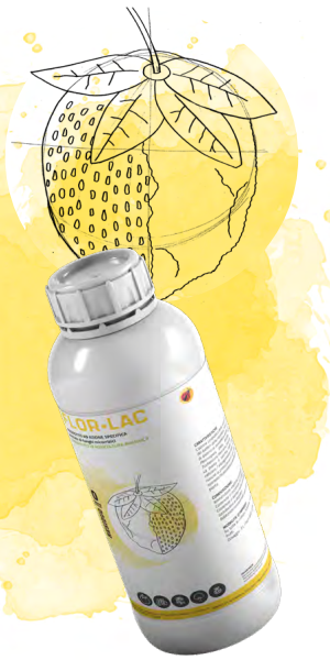 ΒΑΚΙΛΟΣ FLORLAC